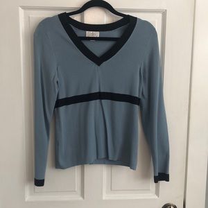 V-Neck Ann Taylor LOFT sweater